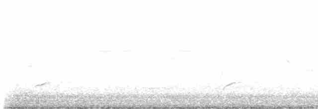 Дрізд-короткодзьоб Cвенсона - ML563712001