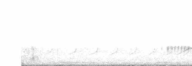 White-eyed Vireo (White-eyed) - ML563723651