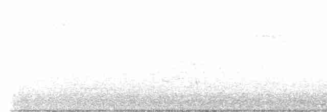 Yellow-throated Warbler - ML563730391