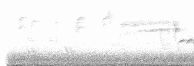 Chaparralgrasmücke - ML563811411