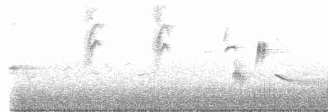 Длиннохвостый крапивник - ML563811561