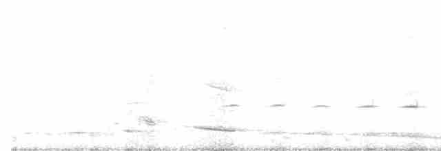 Spotted Quail-thrush - ML563822031