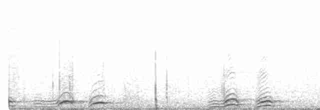 Сова-голконіг плямиста - ML563878181