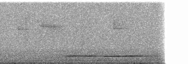 Red-legged Tinamou - ML56393