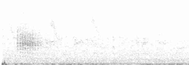 Oriental Reed Warbler - ML563938071