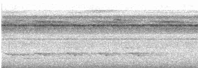 Weißschulter-Ameisenvogel - ML563973261