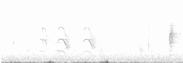 Common Tern - ML563983581