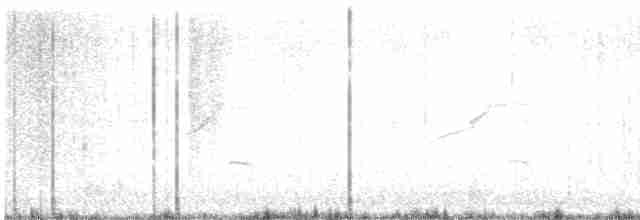 Краснохвостый канюк (borealis) - ML563986521