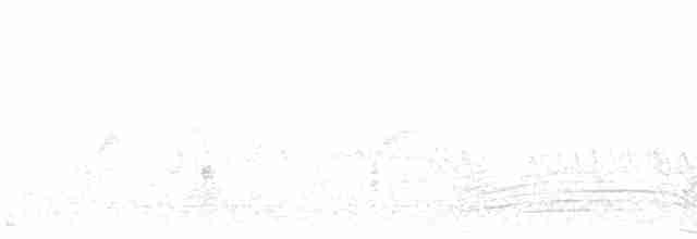 Western Orphean Warbler - ML563999211