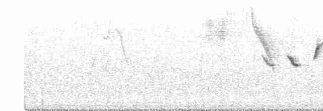 Kestane Gıdılı Tohumcul - ML564027181