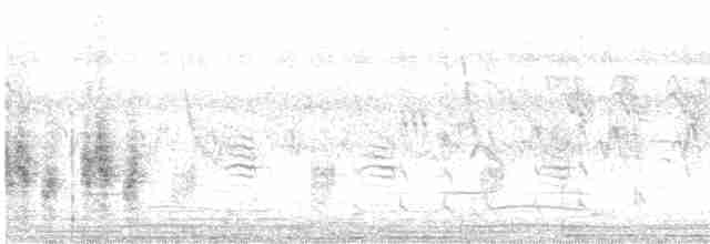 Clamorous Reed Warbler - ML564030561