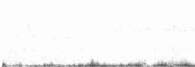 Ошейниковый лесной сокол - ML564061631