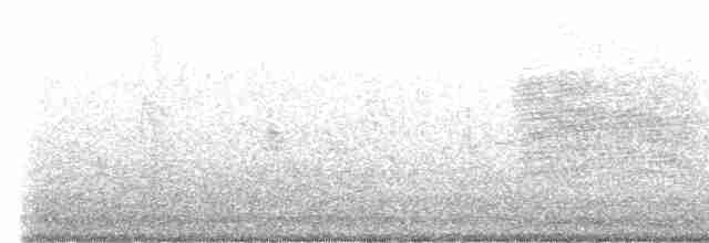 Eurasian Collared-Dove - ML564076161
