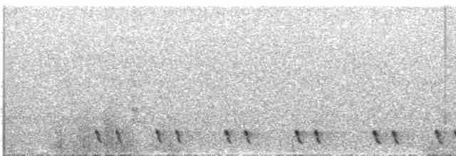 Red-necked Nightjar - ML564102281