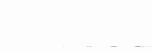 Black-tailed Trogon - ML564115931