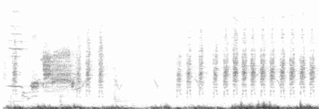 Oriole des vergers - ML564206521