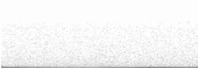 Гигантская иглоногая сова - ML564266971