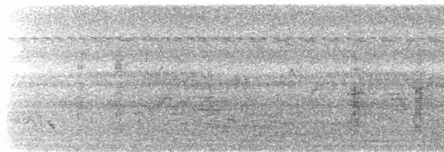 Black-browed Reed Warbler - ML564274371