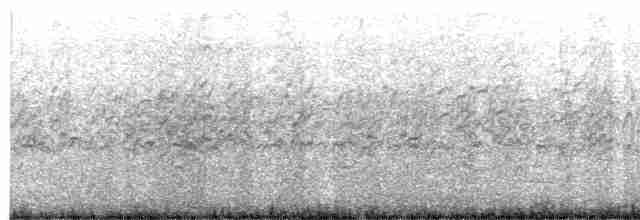 Little Tern - ML564353071