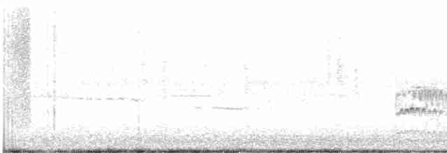 Дрізд-короткодзьоб Cвенсона - ML564406631