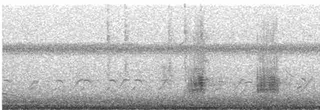 Глазчатая кряква - ML564525511