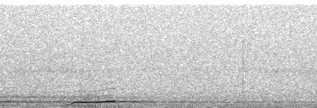 Сова-голконіг далекосхідна - ML56455