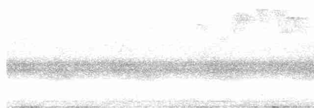 Rostbrust-Ameisendrossel - ML564599131