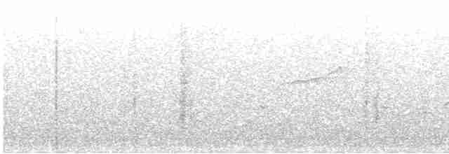 Black-throated Gray Warbler - ML564659951