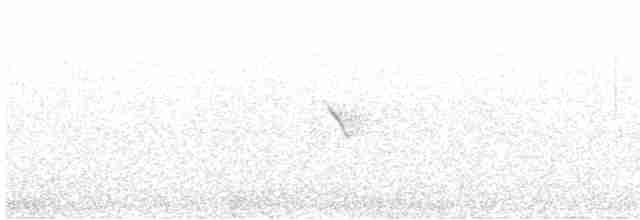 Orange-crowned Warbler - ML564660021