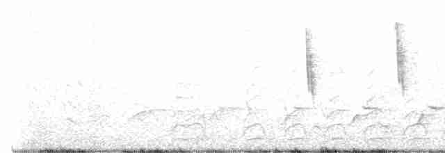 Тростниковый крапивник - ML564725531