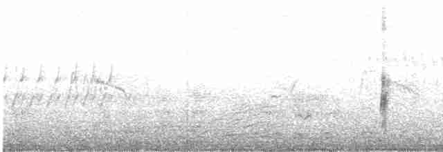 vlhovec červenokřídlý (ssp. californicus/mailliardorum) - ML564872561