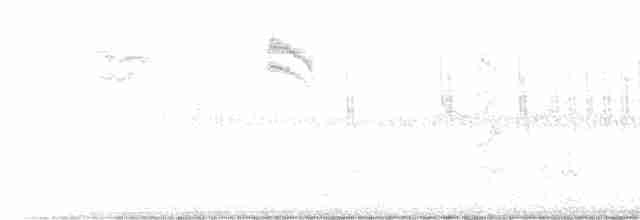 Тростниковый крапивник - ML564878831