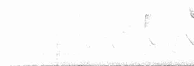 Vireo Ojiblanco - ML564882731