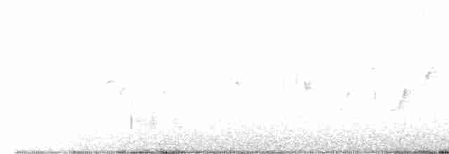 Шишкар ялиновий - ML564884061