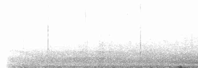 Black-crested Titmouse - ML564884841
