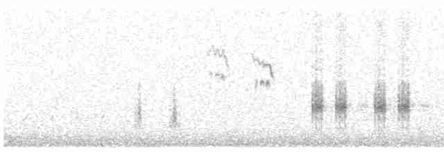 Great Reed Warbler - ML564889831