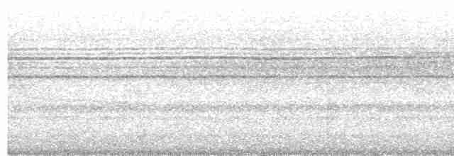 White-mantled Barbet - ML564902361