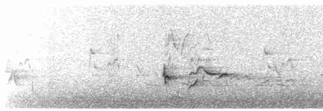 Чечевиця кармінова (підвид purpureus) - ML564930121