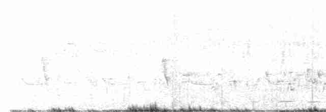 Puff-throated Babbler - ML564940901