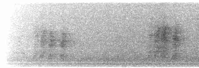 Bulbul de Blanford Oriental - ML564969361