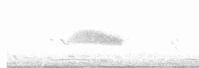 European Greenfinch - ML564995571