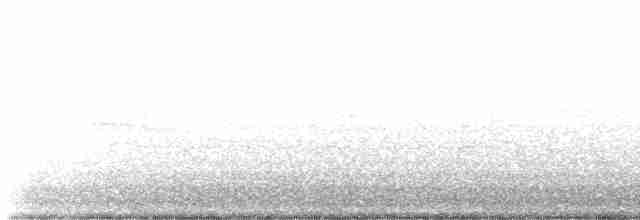 Белобровая овсянка (leucophrys/oriantha) - ML564997001