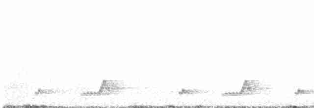 Mexikonachtschwalbe - ML565040551