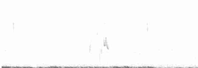 Cassin Çütresi - ML565051651