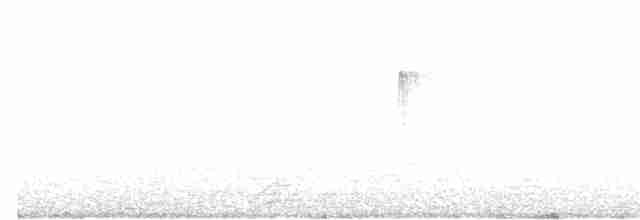 ノドジロタンビハリオアマツバメ - ML565125441