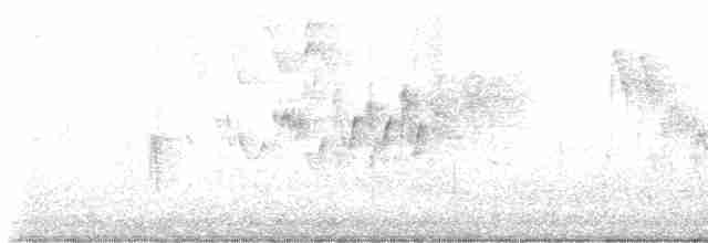 Cerulean Warbler - ML565134541
