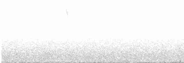 Cerulean Warbler - ML565152031