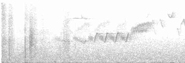 Cerulean Warbler - ML565152211