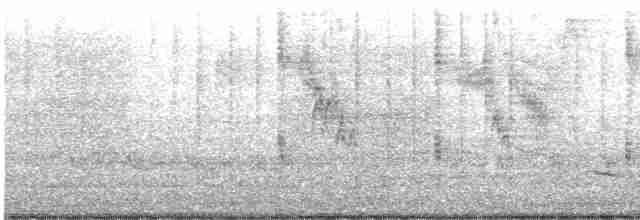 Трупіал плямистоволий - ML565160811