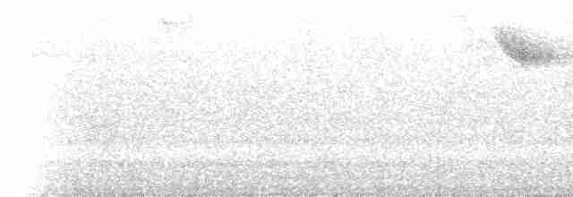 White-chinned Thrush - ML565208101